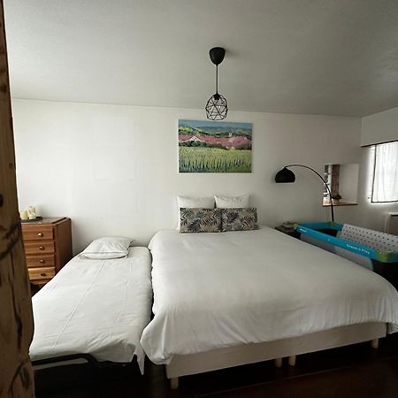 Apartament Parenthese Alsacienne Schiltigheim Zewnętrze zdjęcie