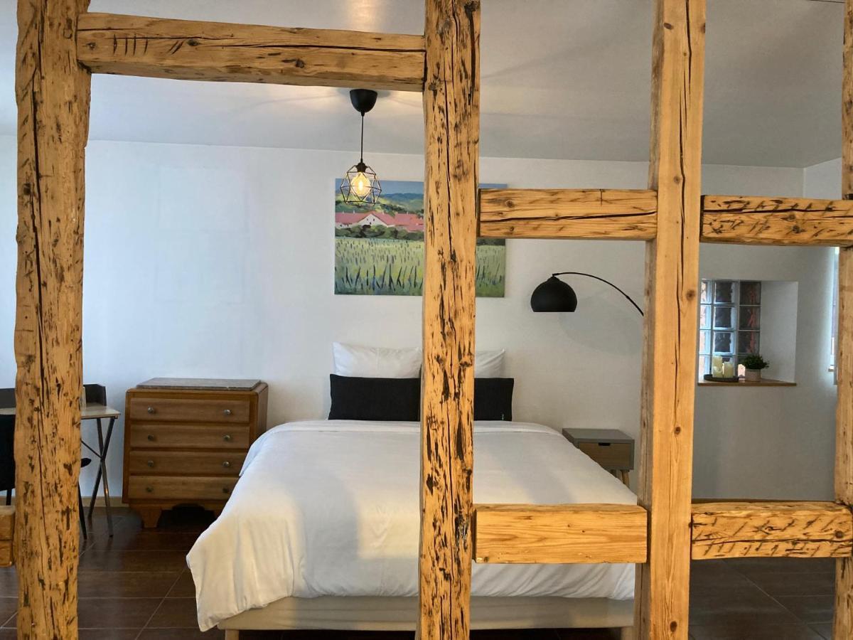 Apartament Parenthese Alsacienne Schiltigheim Zewnętrze zdjęcie
