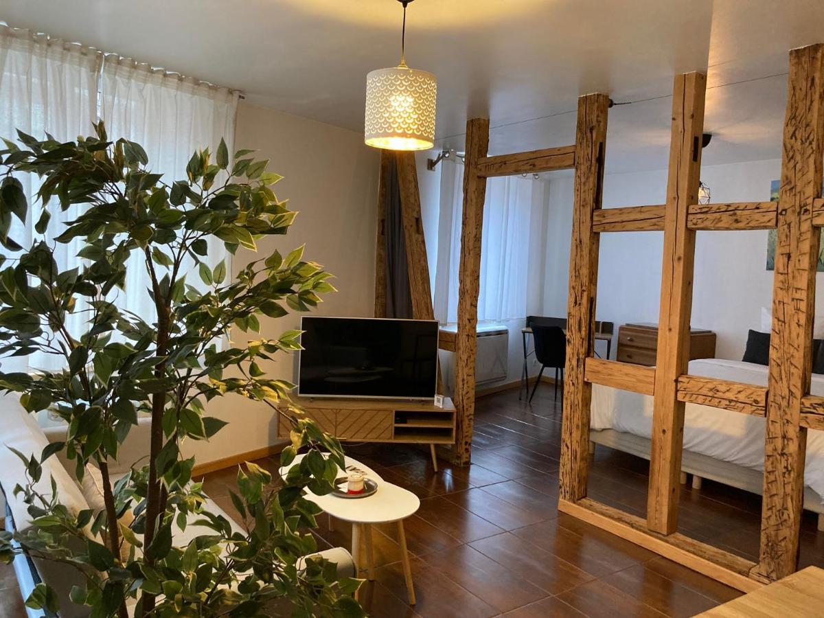 Apartament Parenthese Alsacienne Schiltigheim Zewnętrze zdjęcie