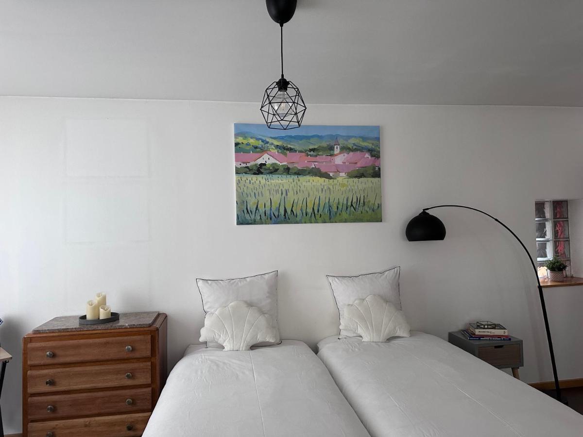 Apartament Parenthese Alsacienne Schiltigheim Zewnętrze zdjęcie
